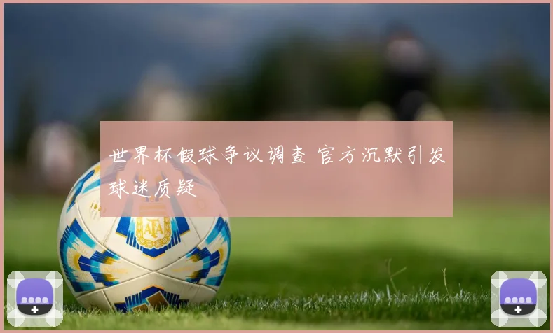 世界杯假球争议调查 官方沉默引发球迷质疑