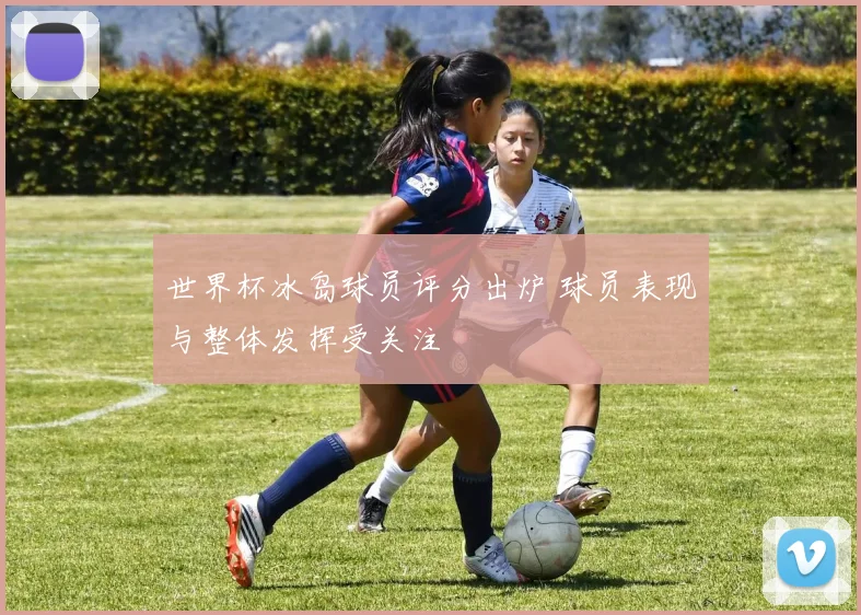 世界杯冰岛球员评分出炉 球员表现与整体发挥受关注