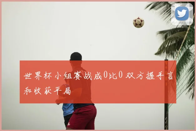 世界杯小组赛战成0比0 双方握手言和收获平局