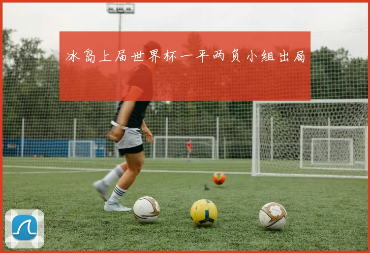 冰岛上届世界杯一平两负小组出局
