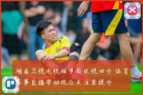 湖南卫视电视猫节目收视回升 体育赛事直播带动观众关注度提升