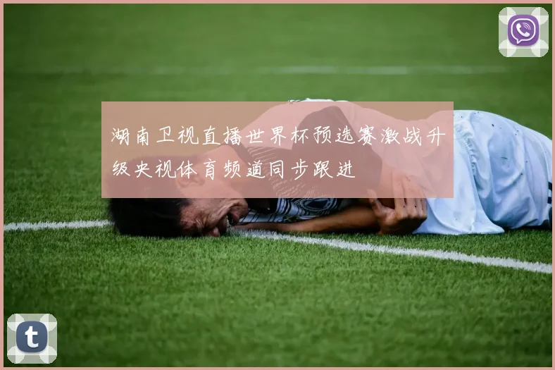 湖南卫视直播世界杯预选赛激战升级央视体育频道同步跟进