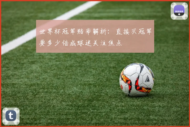世界杯冠军赔率解析：直接买冠军要多少倍成球迷关注焦点