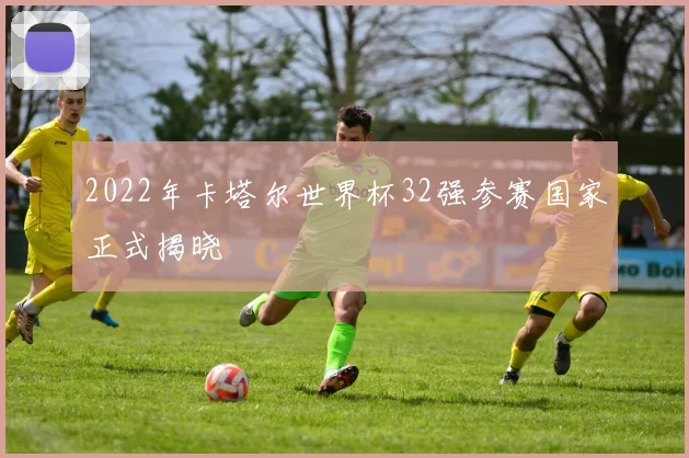 2022年卡塔尔世界杯32强参赛国家正式揭晓