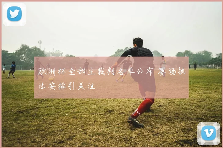 欧洲杯全部主裁判名单公布 赛场执法安排引关注