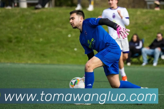 投注app官网服务体系